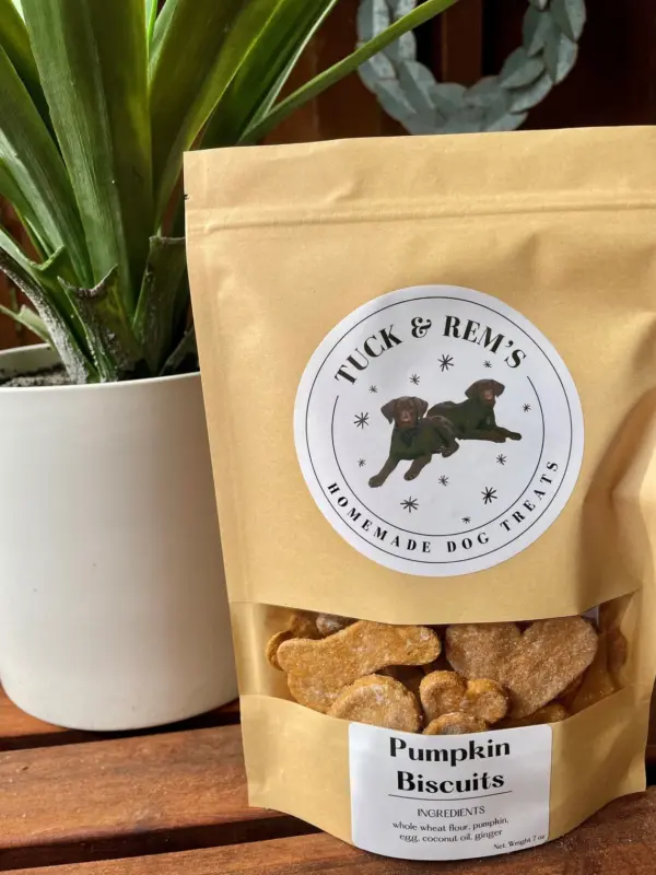 Dog Treats Homemade with Pumpkin & Ginger. 7 ounces! Dog Biscuits. All Natural, just 5 ingredients