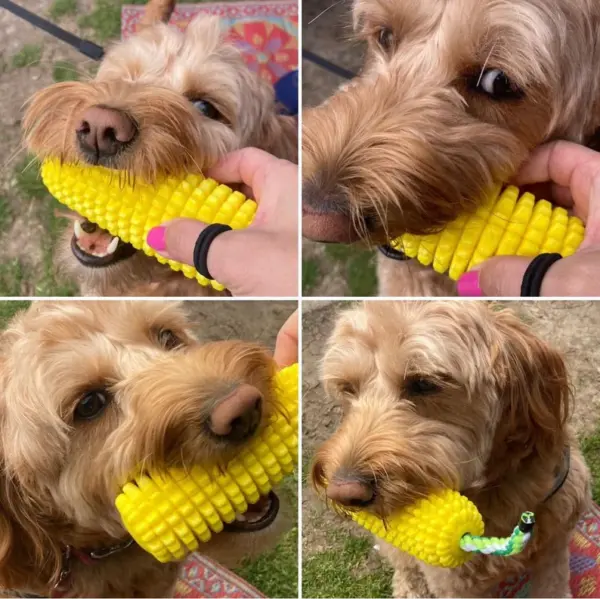 Dog Dental Chew Toy | Corn Dog Toy | Dog Toothbrush Toy | Dental Health Toy | Durable Dog Chew | Dental Care for Dogs | Puppy Chew - Image 2